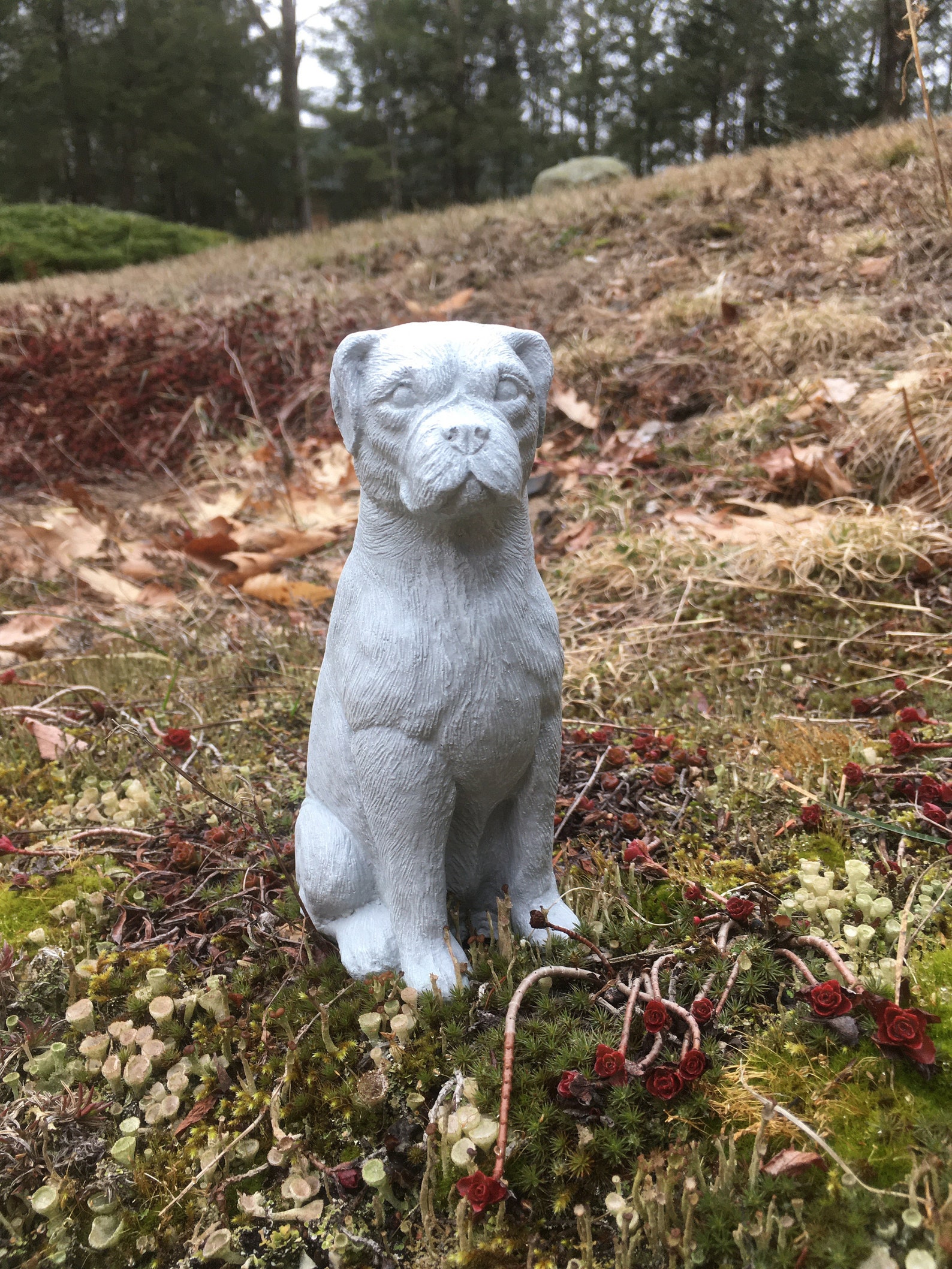 Boxer Dog Concrete Statues Statues of Boxer Dogs Boxer Dog Etsy UK