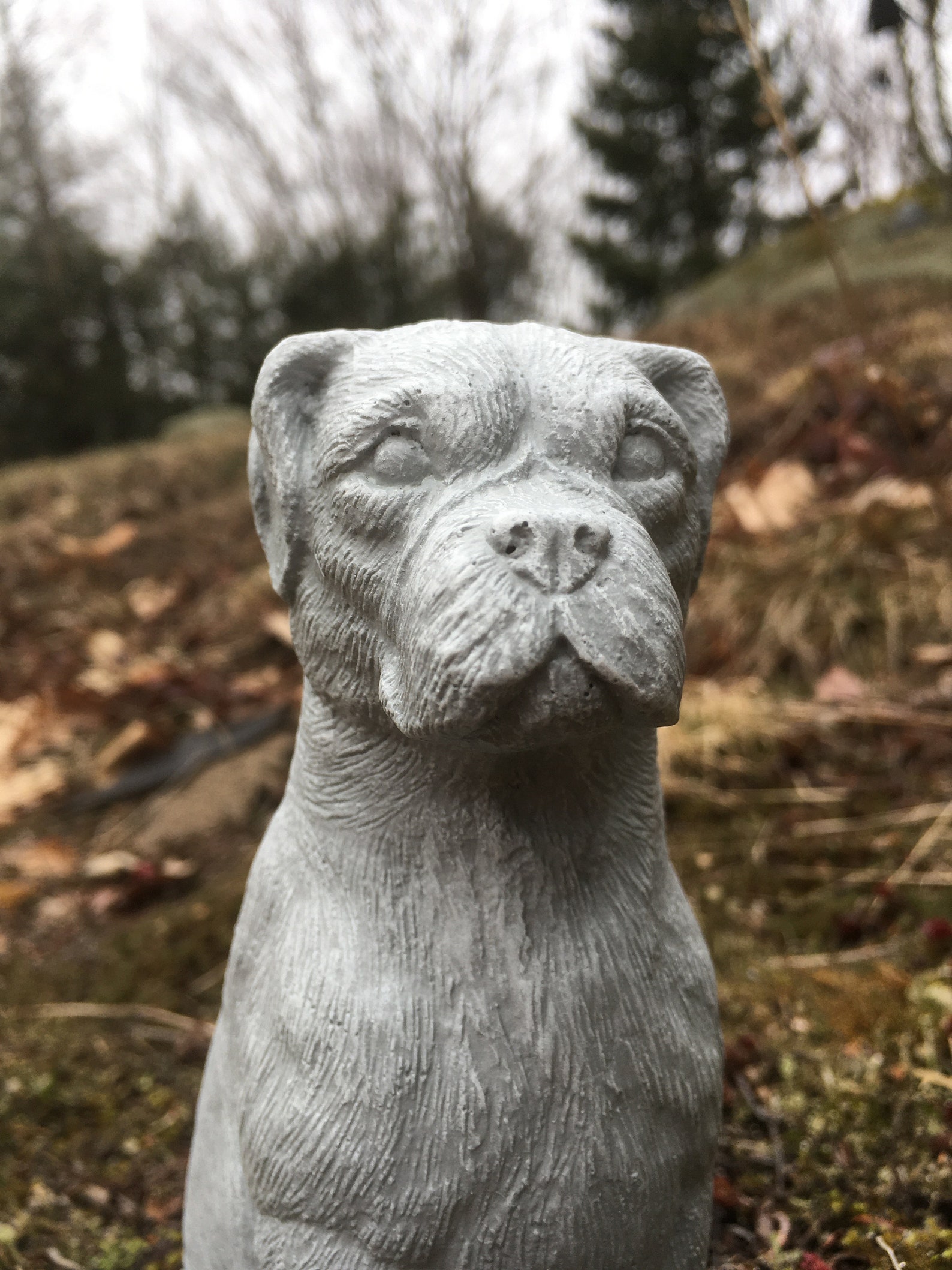 Boxer Dog Concrete Statues Statues of Boxer Dogs Boxer Dog Etsy