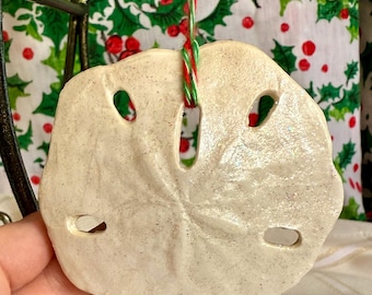 May include: A cream-colored sand dollar ornament with multiple holes and a textured surface. It is suspended by a red and green string, suggesting a holiday theme. The background features a holly and berry pattern.