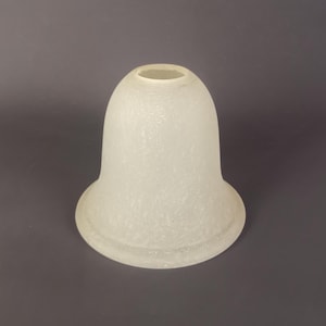 May include: A bell-shaped light fixture shade made of frosted glass with a textured, mottled surface. The shade features a wide, flared opening at the bottom and a smaller circular opening at the top, designed for attachment to a light socket.