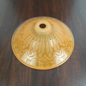 Può includere: Paralume in vetro color ambra in stile vintage con un motivo decorativo a piume e fiori. Il paralume ha una forma arrotondata a forma di ciotola con un'apertura centrale. Il disegno è inciso nel vetro.