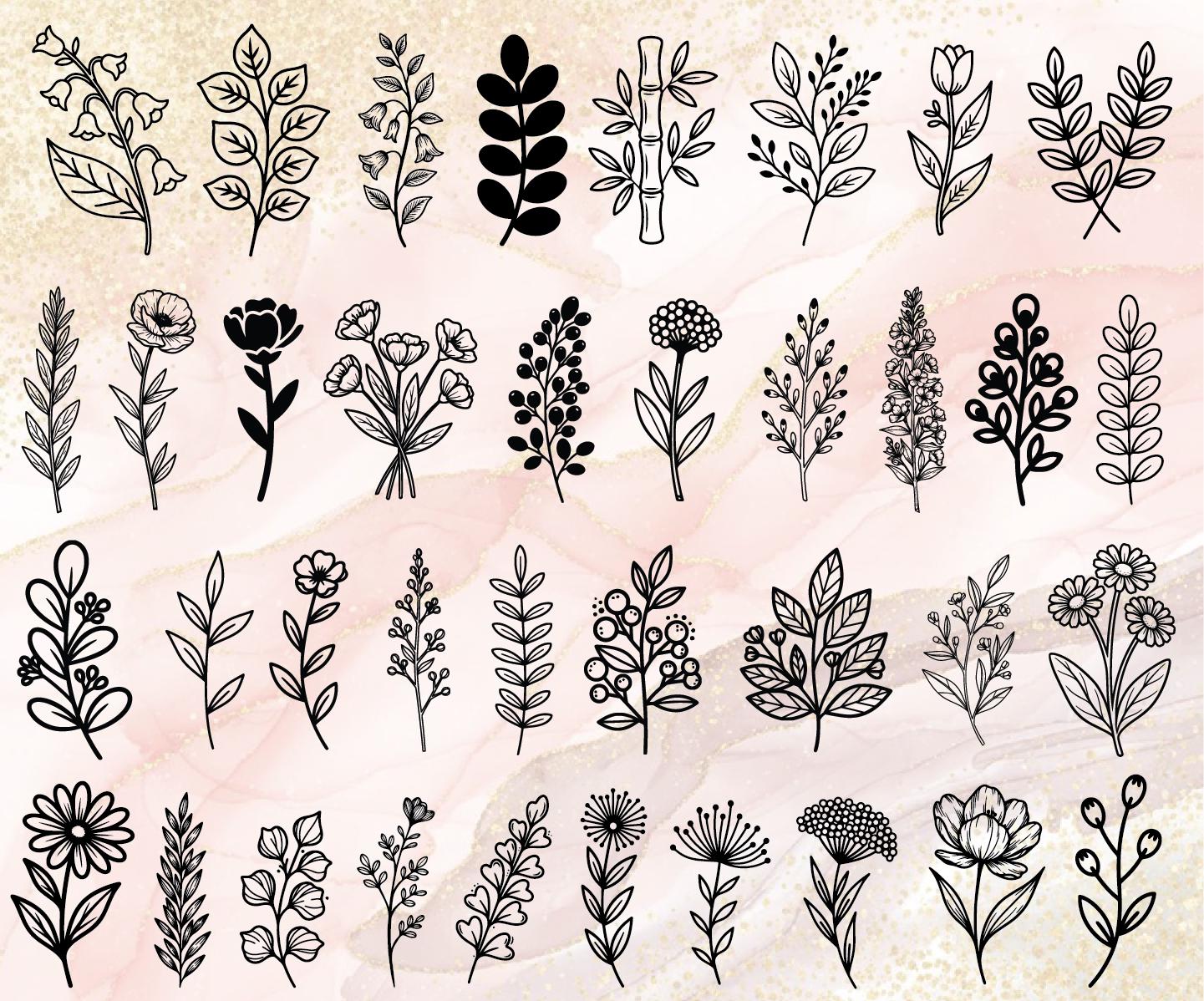 300 Botanical Hand Drawn SVG Bundle, Botanical Linearts, Floral Svg ...