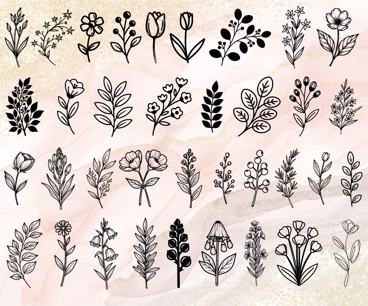 300 Botanical Hand Drawn SVG Bundle, Botanical Linearts, Floral Svg ...