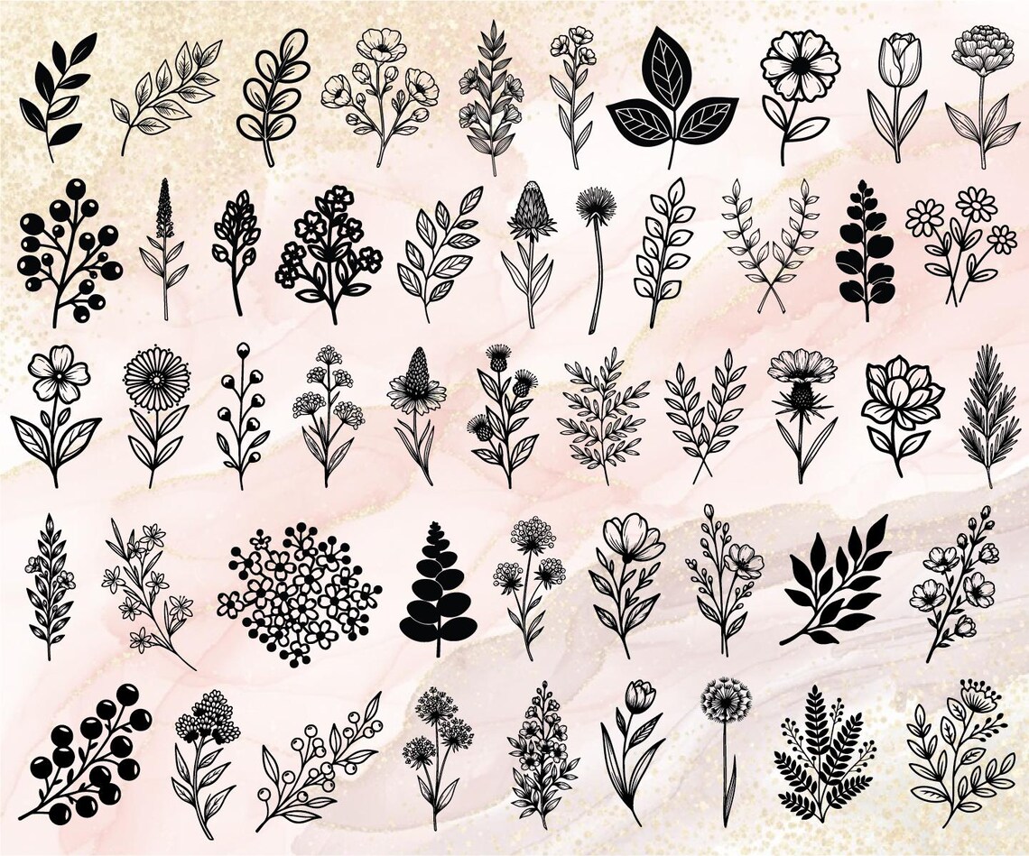 300 Botanical Hand Drawn SVG Bundle, Botanical Linearts, Floral Svg ...