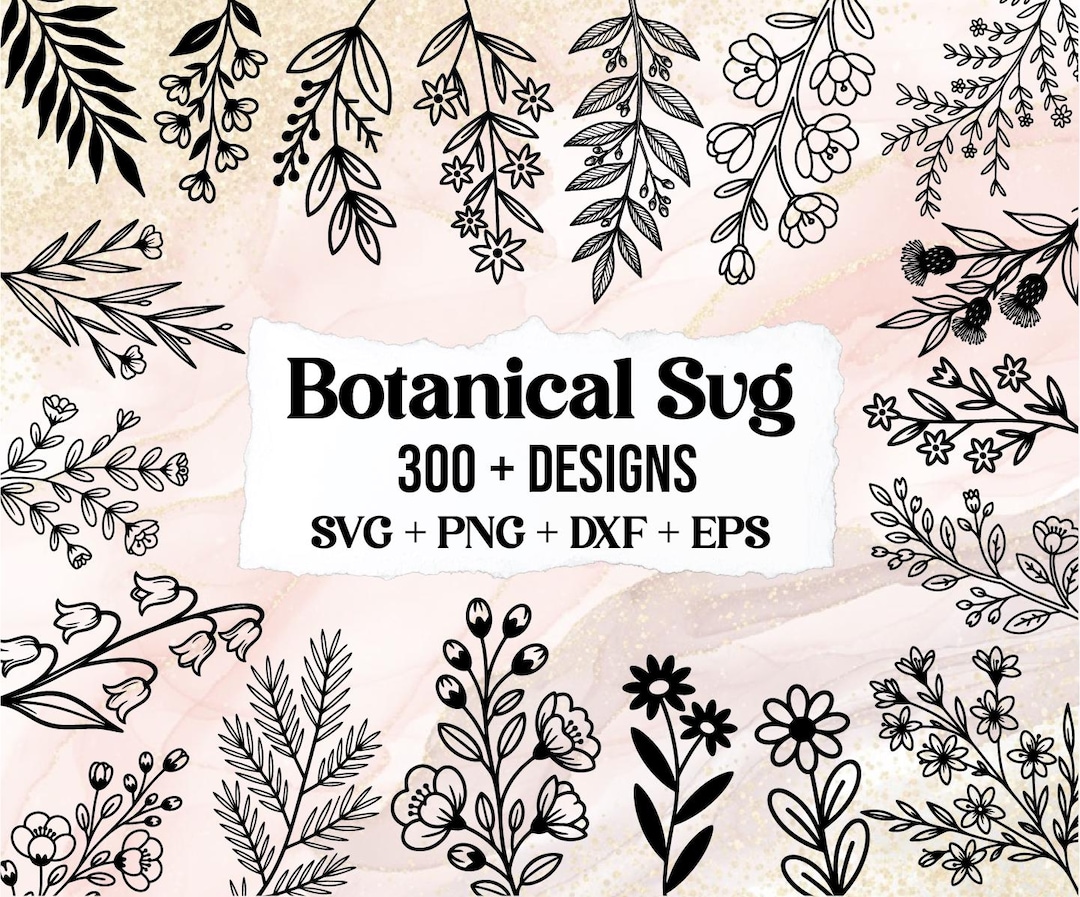 300 Botanical Hand Drawn SVG Bundle, Botanical Linearts, Floral Svg ...