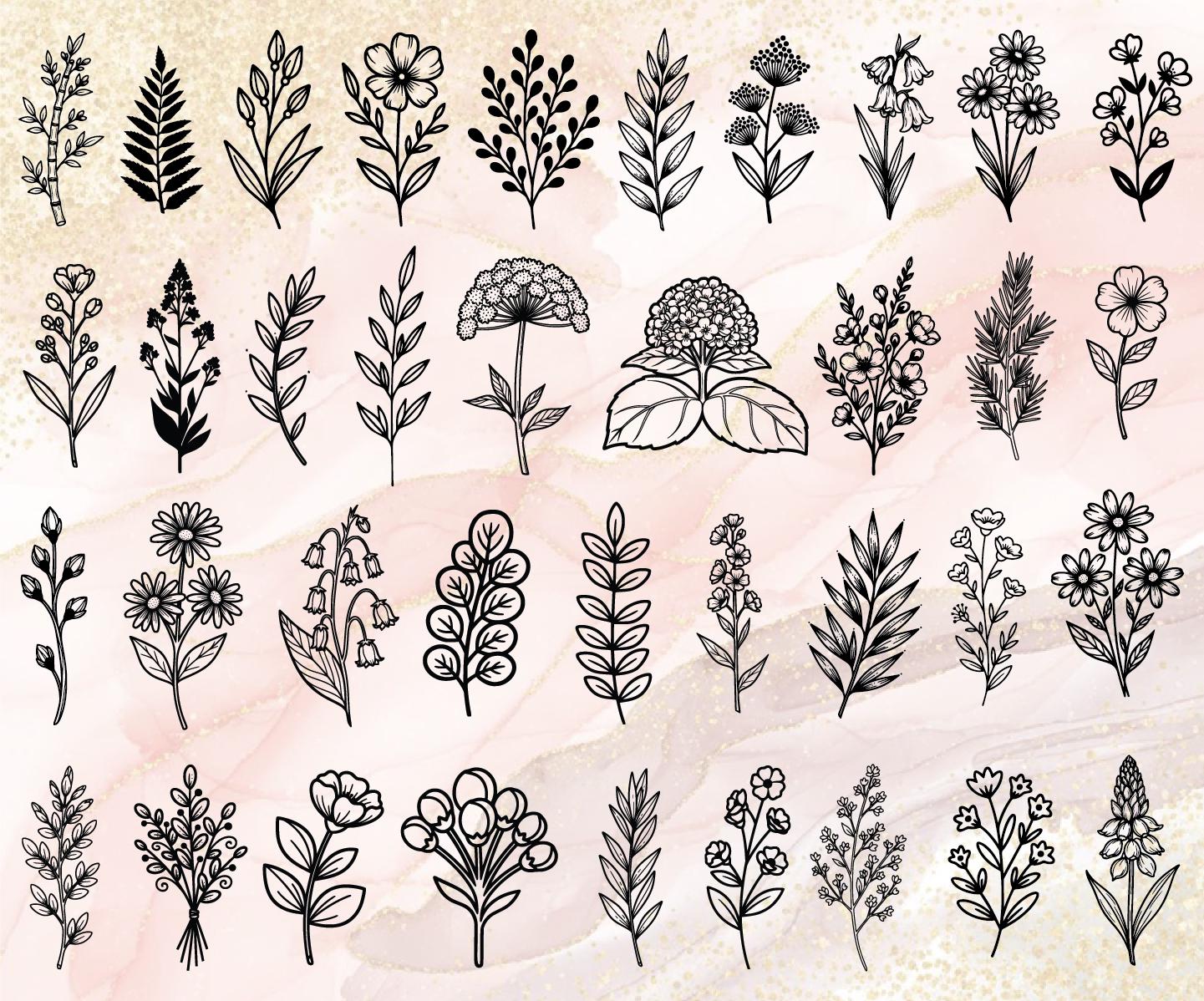 300 Botanical Hand Drawn SVG Bundle, Botanical Linearts, Floral Svg ...