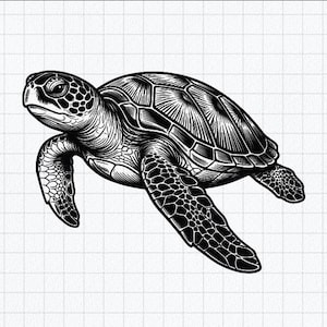Peut inclure: Une illustration graphique en noir et blanc d'une tortue de mer vue de profil. L'œuvre présente un travail de lignes et d'ombrages détaillé sur la carapace et les nageoires, capturant la texture des écailles et la forme incurvée du corps.