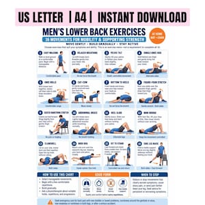 May include: A digital exercise chart titled Men's Lower Back Exercises featuring 16 numbered illustrations of movements for mobility and strength. The text includes instructions for US Letter and A4 sizes, instant download, and safety guidelines.