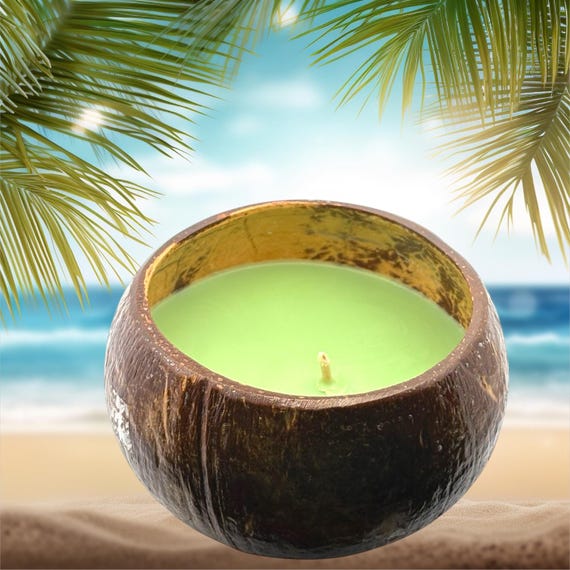 MADE IN HAWAII, Grass Skirt Holiday Coconut Shell Soy Candle,12oz - Etsy  Israel