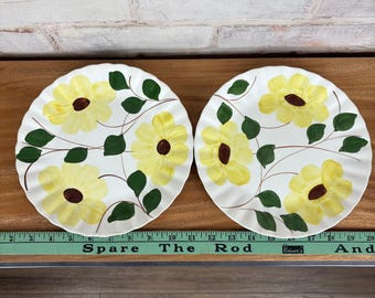 Set van 2 vintage Blue Ridge Southern Potteries handgeschilderde borden met gele bloemen