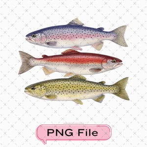 May include: Three watercolor illustrations of fish. The top fish is blue with pink spots, the middle fish is red, and the bottom fish is yellow with brown spots. The image includes the text "PNG File" in a pink speech bubble.