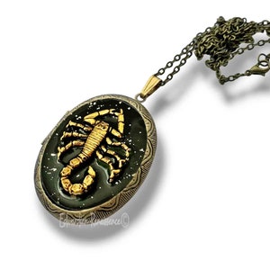 Scorpion Locket Necklace: Hand Painted Zodiac Keepsake, Personalized Option