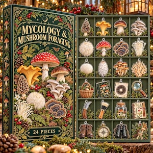 May include: A 24-piece Mycology & Mushroom Foraging advent calendar box featuring detailed botanical illustrations of various mushrooms, alongside a green tray containing 24 individual clear acrylic ornaments depicting mushrooms and foraging tools.