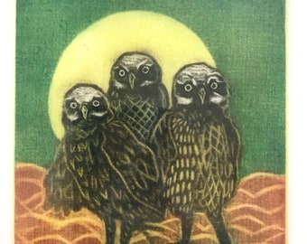 Vintage 82' Color Etching of three baby Burrowing Owls titled "The three faces!" numbered 38/50 signed by artist Zapatay