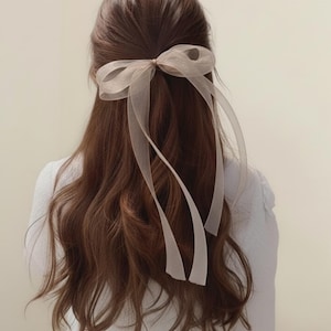 Elegant Sheer Ribbon Bow Hair Tie,Long Tail French Ponytail Bow for Women,Standout Soft Girl Aesthetic Hair Accessory,Multicolor Gift Choice