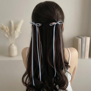 Juego de 2 pinzas para el pelo con lazo de cinta de cola larga multicolor, elegantes y llamativas, con diseño de coqueta, un accesorio para el pelo de moda y llamativo.