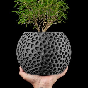 Puede incluir: Una maceta esférica gris oscuro con un diseño poroso único, sostenida en una mano sobre un fondo negro. La maceta contiene una pequeña planta de hojas verdes. El intrincado patrón de agujeros le da a la maceta un aspecto moderno y artístico.