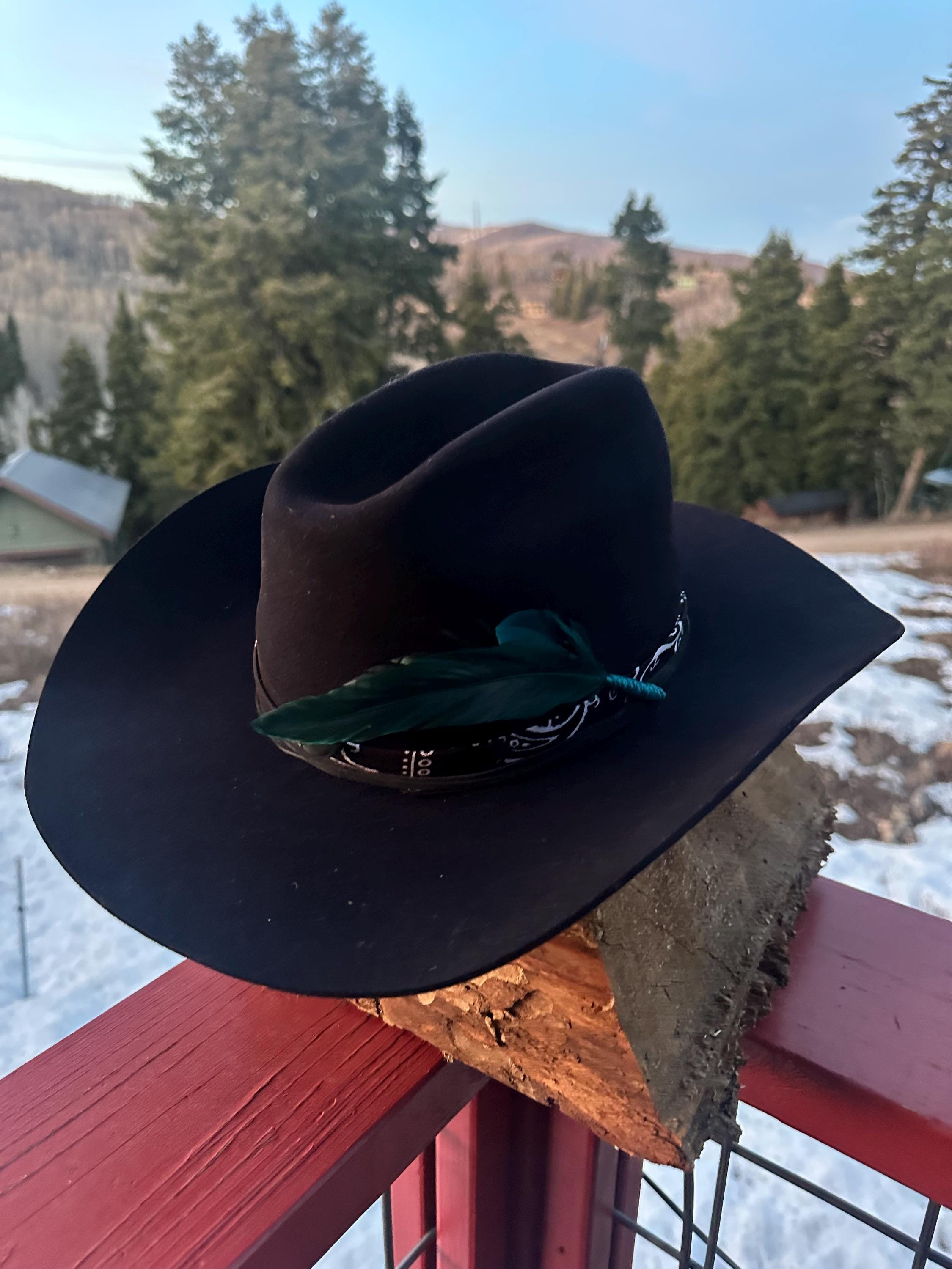 100 beaver hat - Etsy 日本