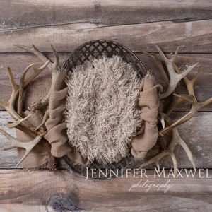Deer Antler Newborn Digital Background