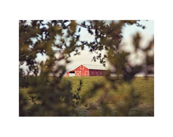 Red Barn Rustic Farmhouse Photography Art Print "The Old Red Barn"