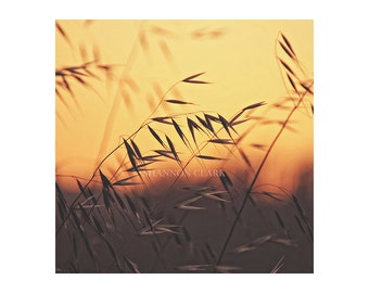 Golden Landscape Nature Photography Art Print