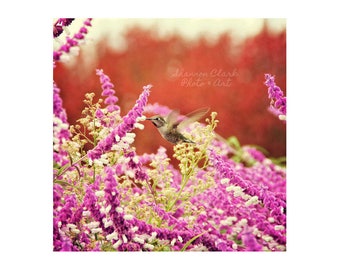 Hummingbird Photography Art Print - "Flutter"