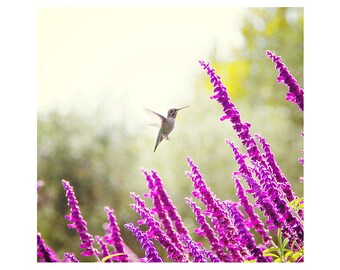 Hummingbird photography. spring art. whimsical photography. dreamy. nursery decor.  Purple Green Nature Photography. Floral. Flowers