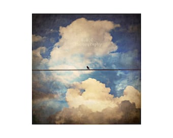 Bird On Wire Cloudy Blue Sky Photography Art Print "Solitude"