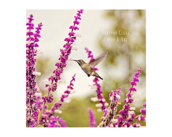 Hummingbird photography. spring art. whimsical photography. dreamy. nursery decor.  Purple Green Nature Photography. Floral. Flowers