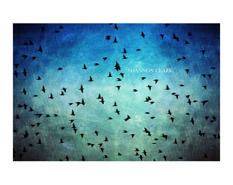 Flying Bird Photography Art Print