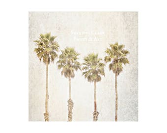 Santa Cruz Beach Palm Tree Photography Art Print