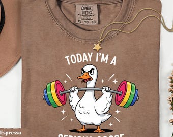 Camiseta de levantamiento de pesas Serious Goose, sudadera divertida para entrenar en el gimnasio, sudadera con capucha para hombre, regalo sarcástico para amantes de los animales