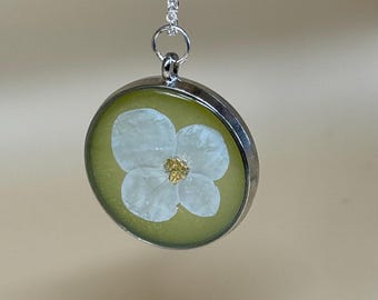 May include: A silver pendant necklace with a circular charm. The charm is filled with resin, showcasing a white flower with a gold centre on a light green backdrop. The necklace chain is silver.