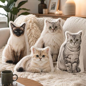 May include: Five cat-shaped throw pillows with realistic cat faces are arranged on a cream-colored couch. The cats are various breeds and colors, including a Siamese, a fluffy gray cat, a golden tabby, and a gray tabby. The pillows are on a fluffy white rug.