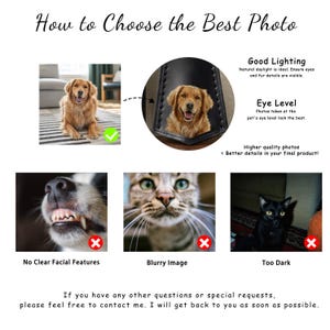 May include: An informational graphic titled "How to Choose the Best Photo" with examples of good and bad pet photos. The graphic includes text about lighting and eye level, with a golden retriever as a good example.