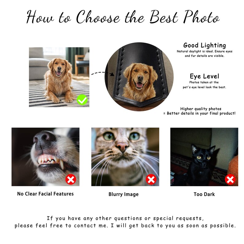 May include: An informational graphic titled "How to Choose the Best Photo" with examples of good and bad pet photos. The graphic includes text about lighting and eye level, with a golden retriever as a good example.