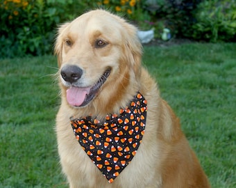 Candy corn Halloween Dog slip over the collar Bandana, Halloween dog bandana, candy dog bandana, dog costume