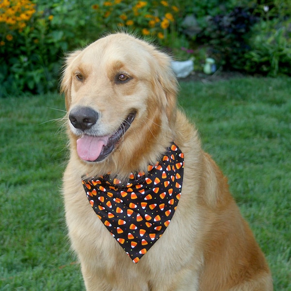 Candy corn Halloween Dog slip over the collar Bandana, Halloween dog bandana, candy dog bandana, dog costume