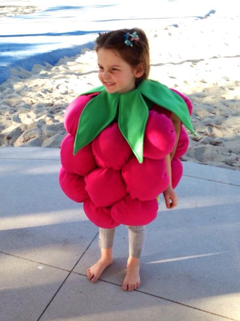 Ready to ship Little Raspberry Costume Etsy