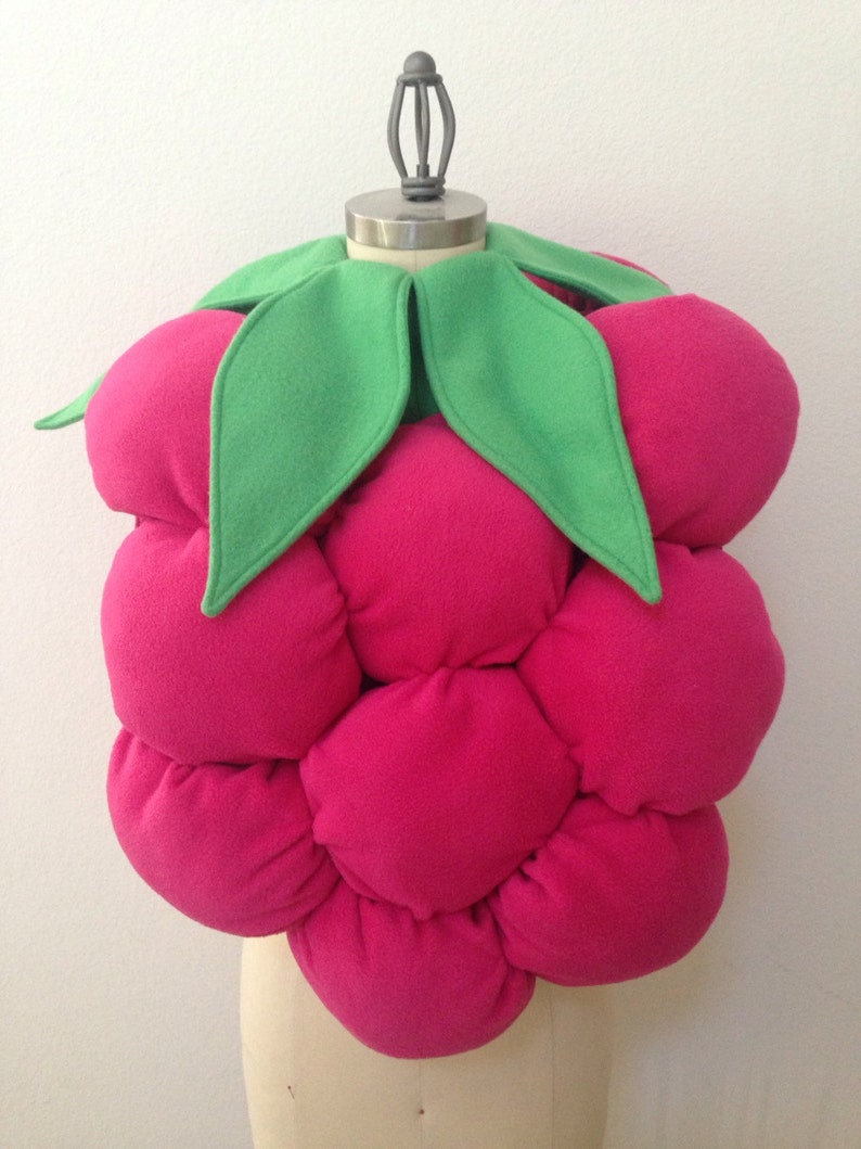 Ready to ship Little Raspberry Costume Etsy