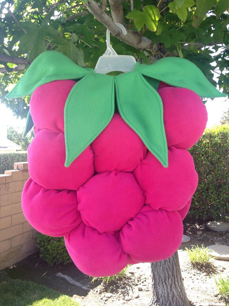 Ready to ship Little Raspberry Costume Etsy