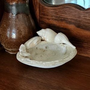 May include: A decorative seashell dish with several white seashells arranged on top. A brown ceramic vase is to the left of the dish. The items are on a dark brown wooden surface.