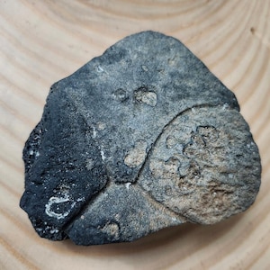 May include: A set of three ceramic mugs with a speckled, matte finish. The mugs are in shades of cream, light gray, and dark gray. Each mug has a simple, minimalist design and a rounded handle.