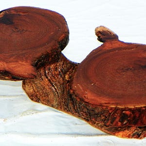 May include: A double-tiered display stand crafted from two circular, reddish-brown wood slices with natural bark edges. The two platforms are connected by a central wooden bridge, showcasing visible wood grain patterns and a dark, polished finish.