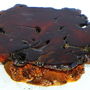 May include: A handcrafted, live edge wooden slab with a rich, dark brown finish. The surface features natural holes and a unique, organic shape. The base has a textured, reddish-brown appearance. This decorative piece is ideal for home decor.
