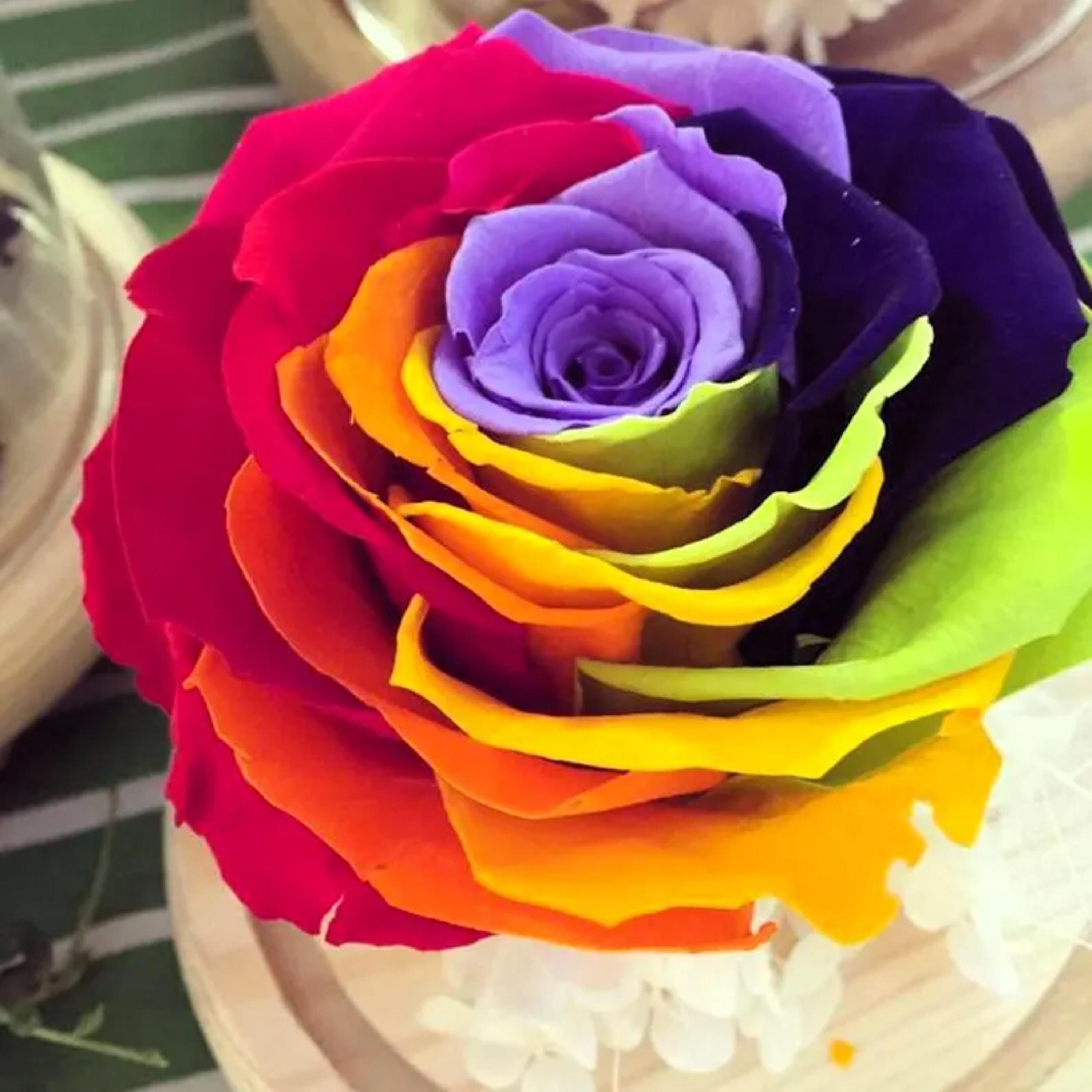 アメリカヴィンテージ ソルト＆ペッパー ローズ 薔薇 アメリカヴィンテージ ソルト＆ペッパー ローズ 薔薇 Amazon.com : 100