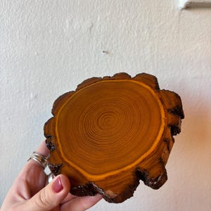 Pode incluir: Uma base de madeira artesanal com formato natural e orgânico. A base é feita a partir de uma seção transversal de uma árvore, mostrando os anéis de crescimento em tons de marrom e dourado. As bordas são marrom escuro.