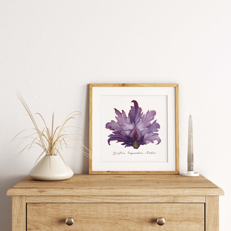 Purple Stormy Dawn Yoni Flower Fine Art Print / Feminist Botanical Illustration / Vulva / Vagina Art / Divine Feminine / Sacred / Erotic/ image 5