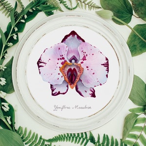 Pink Spotted Yoni Flower Fine Art Print / Feminist Botanical Orchid Illustration / Vulva / Vagina / Divine Feminine / Sacred / Erotic/ image 4