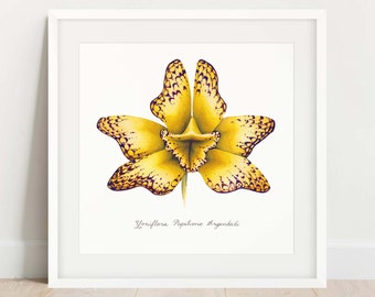 Yellow "Butterfly Yoni Flower" Fine Art Print / Feminist Botanical Illustration / Vulva / Vagina / Divine Feminine / Sacred / Erotic/